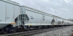 SOO 116504 is new to rrpa.